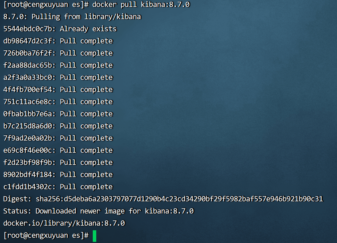 image-20231202165001016